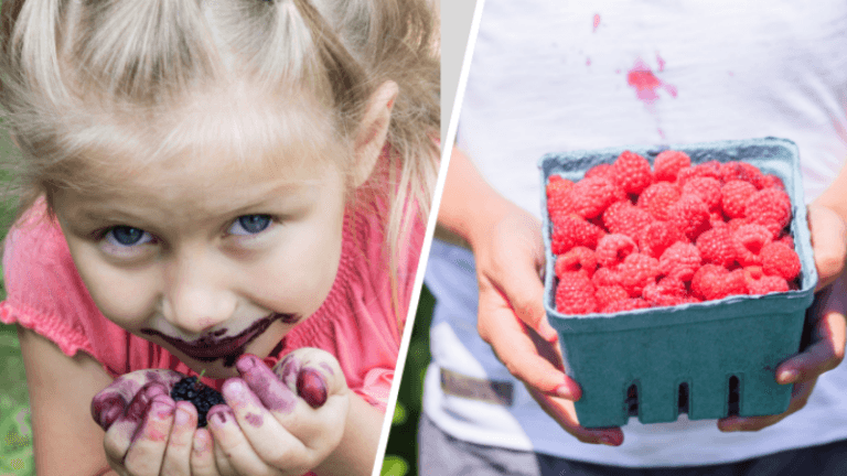 Comment enlever les taches de fruit rouge 6 astuces